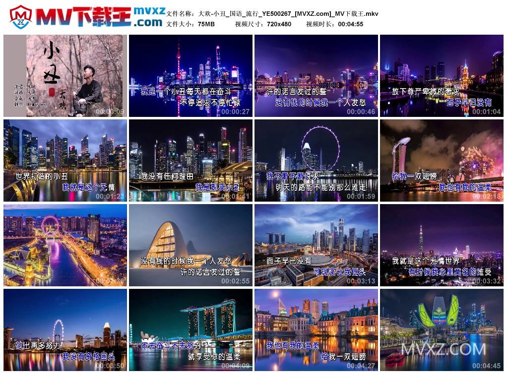 大欢-小丑_国语_流行_YE500267
